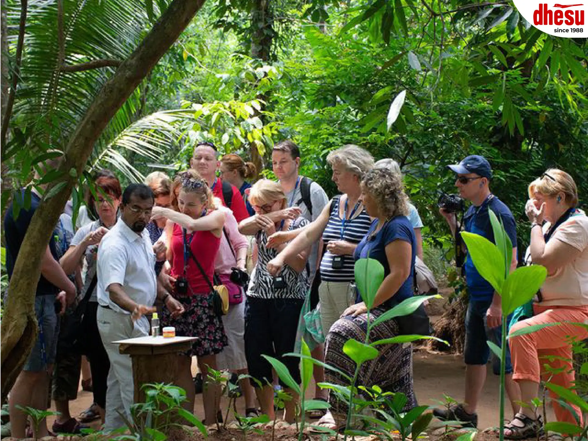 A Dhesu guide walking a tour group through a tropical garden