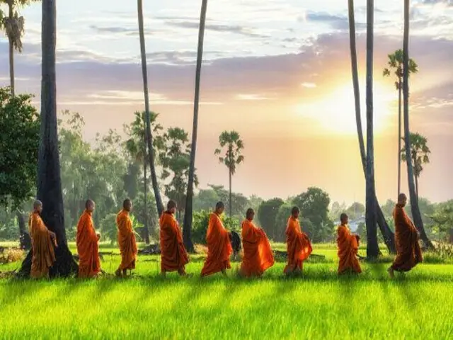 A line of monks walking through palm groves at first light